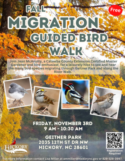 Fall Migration Guided Bird Walk
