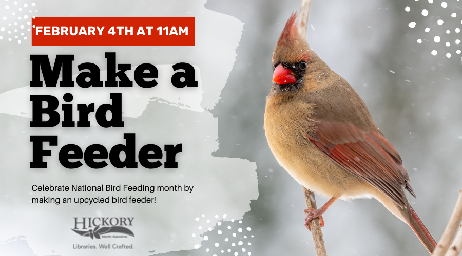 cardinal with the text "make a bird feeder"