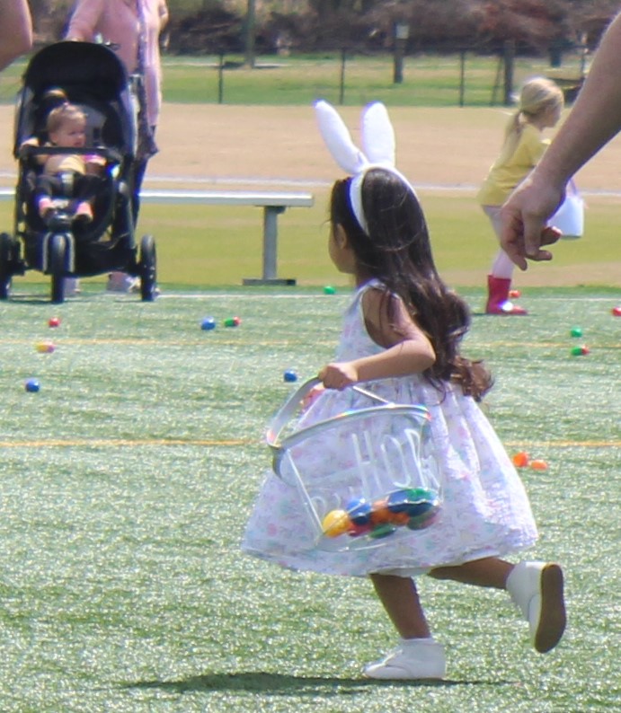 Young girl hunts for Easter eggs at Easter Egg Hunt