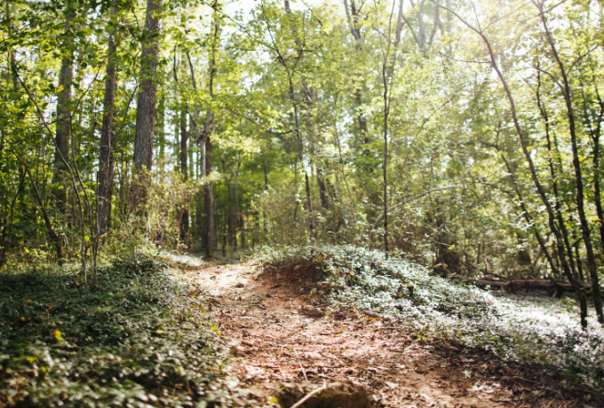 Trails