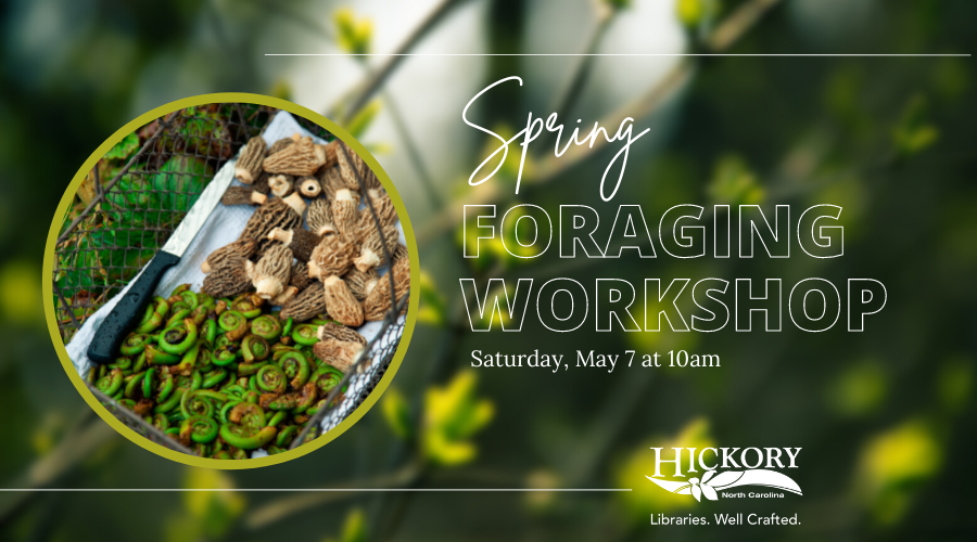Spring Foraging Workshop