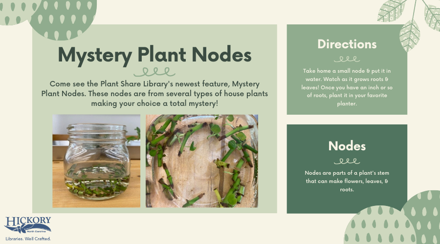 Mystery Plant Nodes flyer