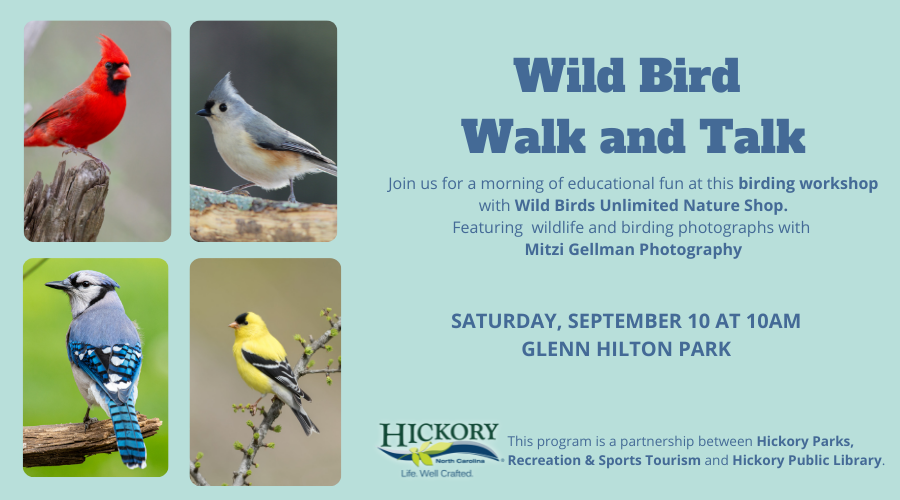 Pictures of birds, Wild Bird Walk and Talk, Saturday, September 10th at 10am, Glenn C. Hilston Park Shelter #1