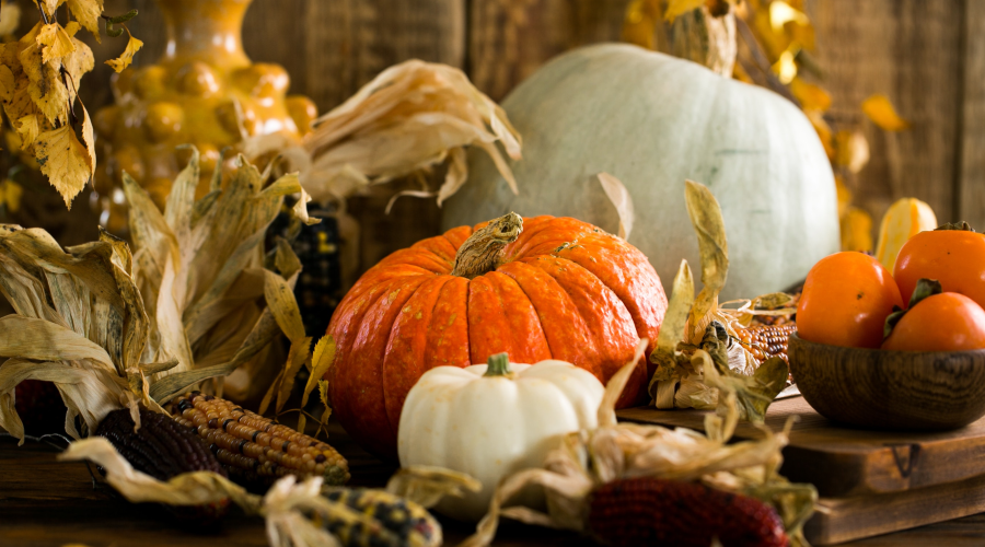Thanksgiving schedule - photo of pumpkins and fall decor