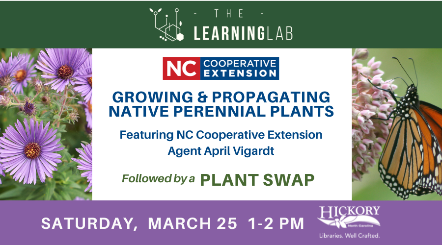 Native Perennial Plant Talk followed by Plant Swap