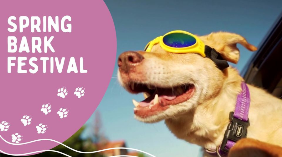 Spring Bark Festival logo with dog in goggles 