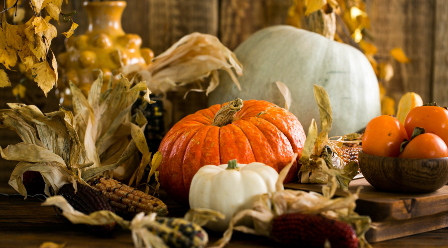 Thanksgiving schedule - photo of pumpkins and fall decor