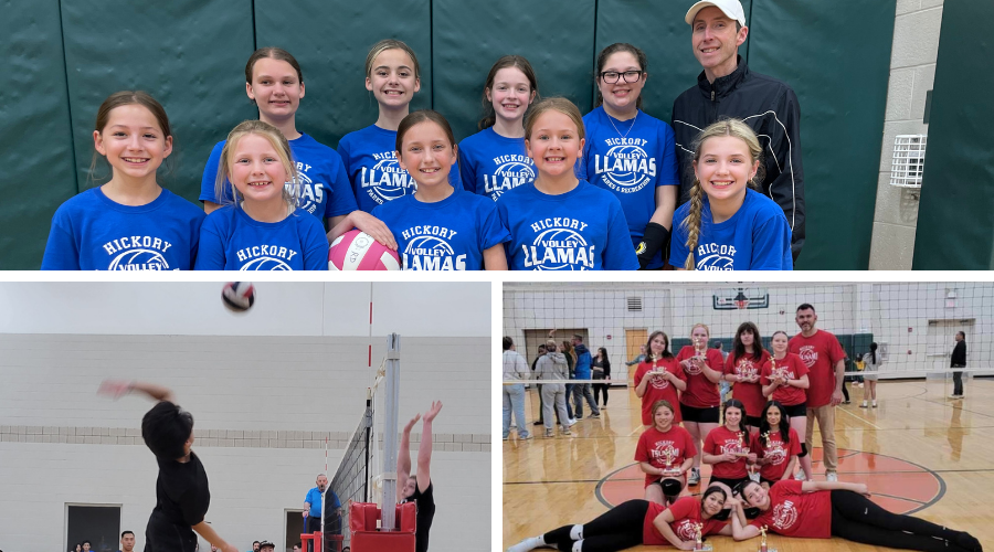 Youth volleyball teams